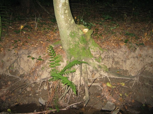 na potoku